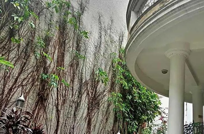 Hotel Casa Micarosa And Residences 2*